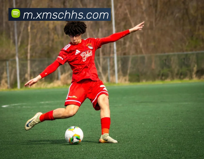 小鸟体育品牌故事